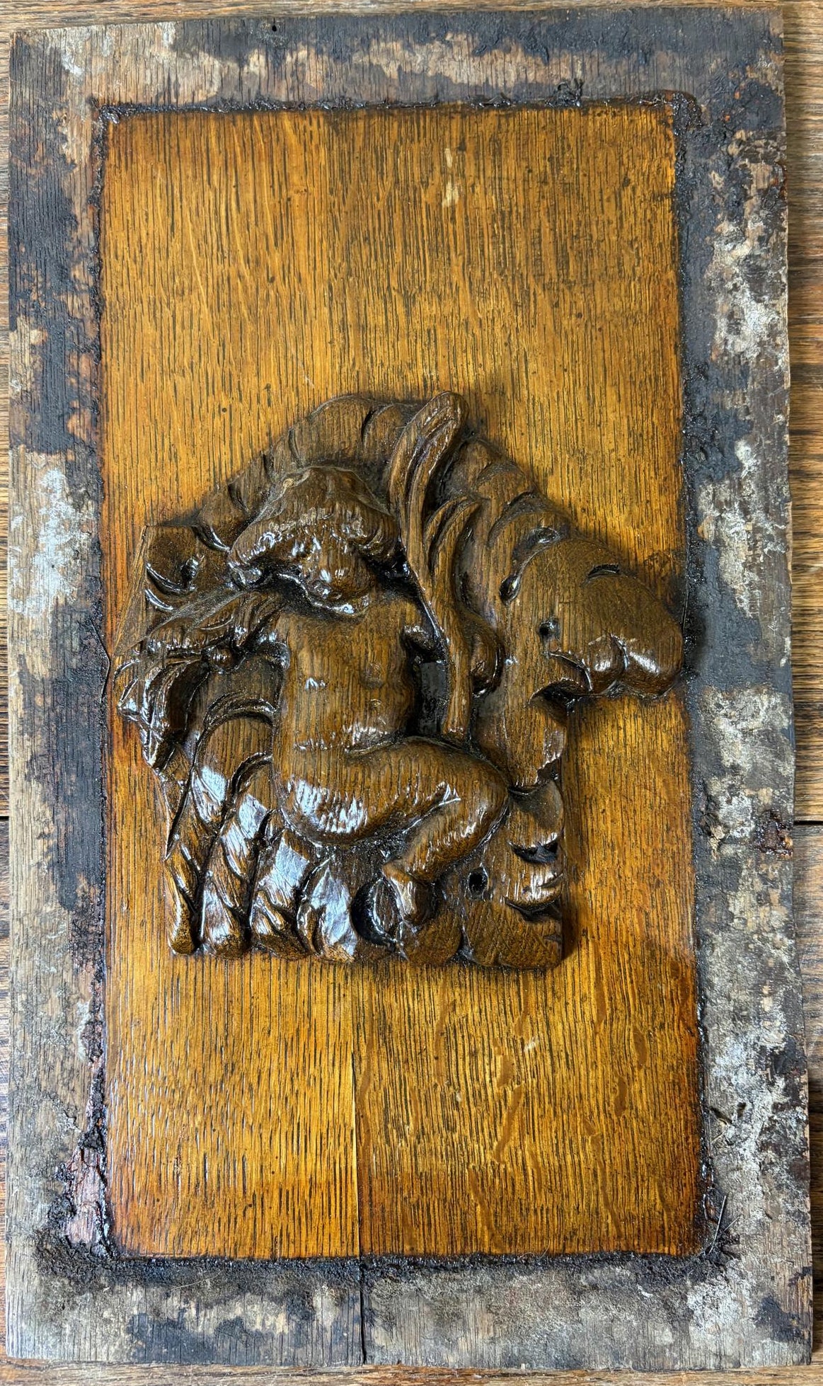 Set of Five 18th‑Century Carved Oak Panels – Cherub & Putti